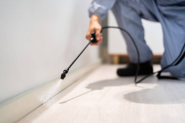 Licensed Pest Control service in Oak Trail Shores, TX - Show Me Pest Control