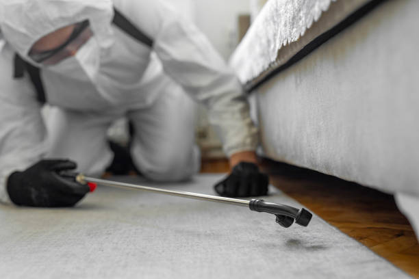 Professional Ant Control technician working in Oak Trail Shores, TX