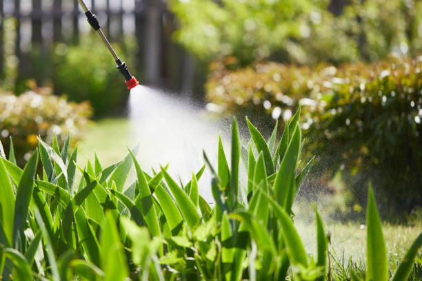24/7 Emergency Mosquito Control experts in Oak Trail Shores, TX