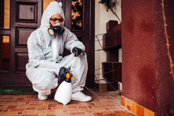 Reliable Mosquito Control contractor in Oak Trail Shores, TX by Show Me Pest Control